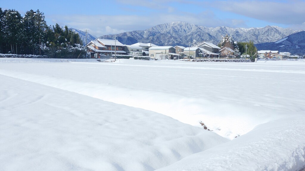 寒波が過ぎて