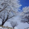 氷点下の華