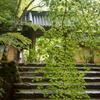 永源寺