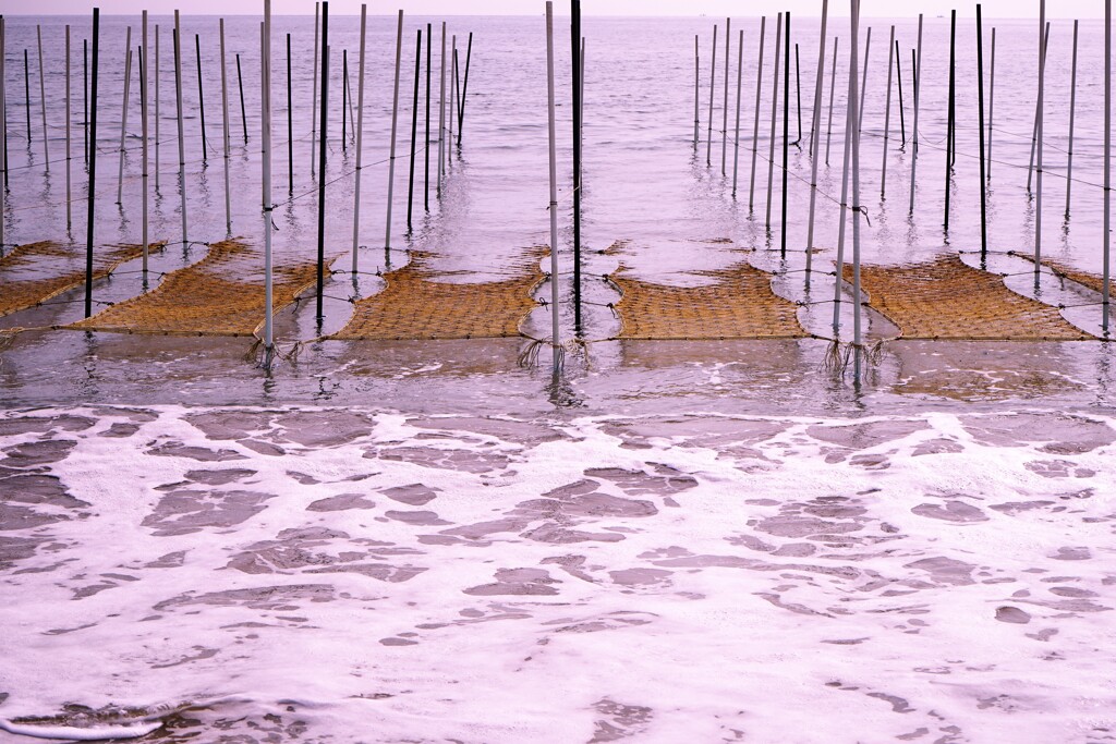 海の恵み