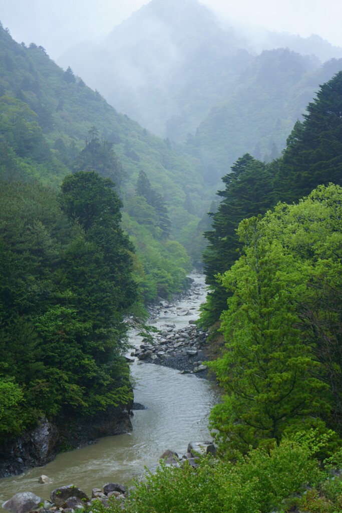 雨上がり