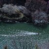 銀河