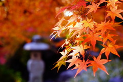 紅葉・諸戸庭園