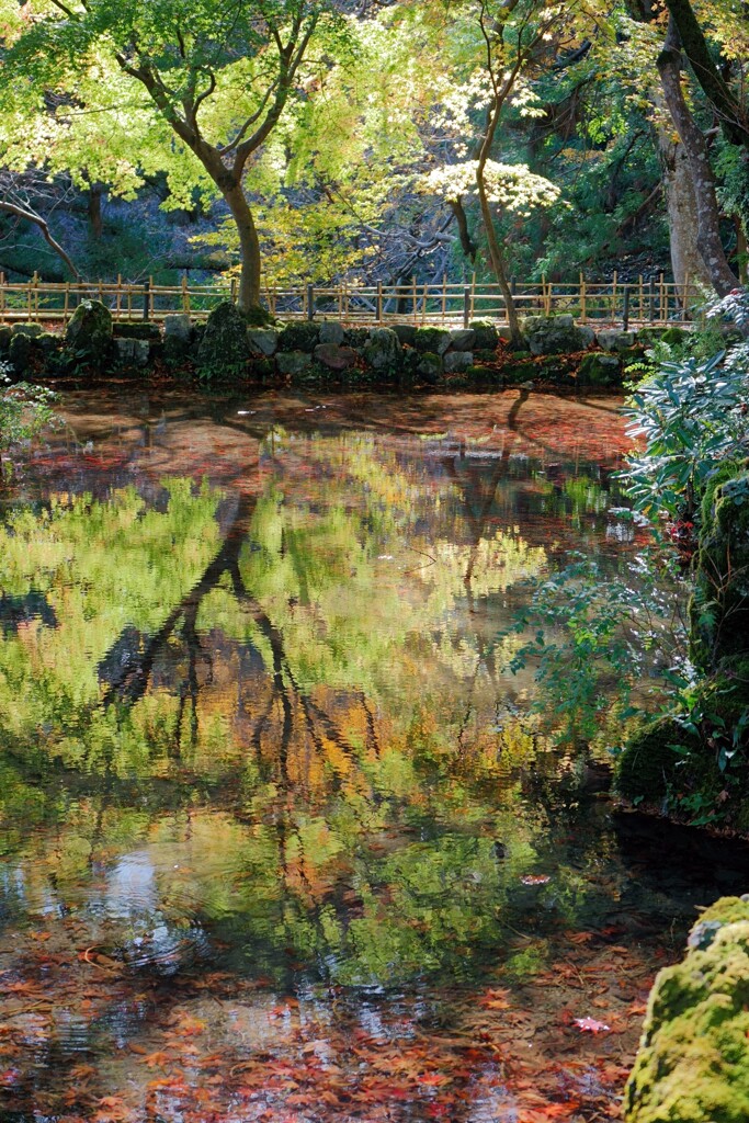 聖宝寺庭園