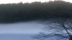 朝霧