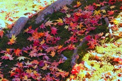 紅葉・諸戸庭園