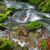 行く川の流れは絶えずして