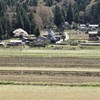 春の兆し