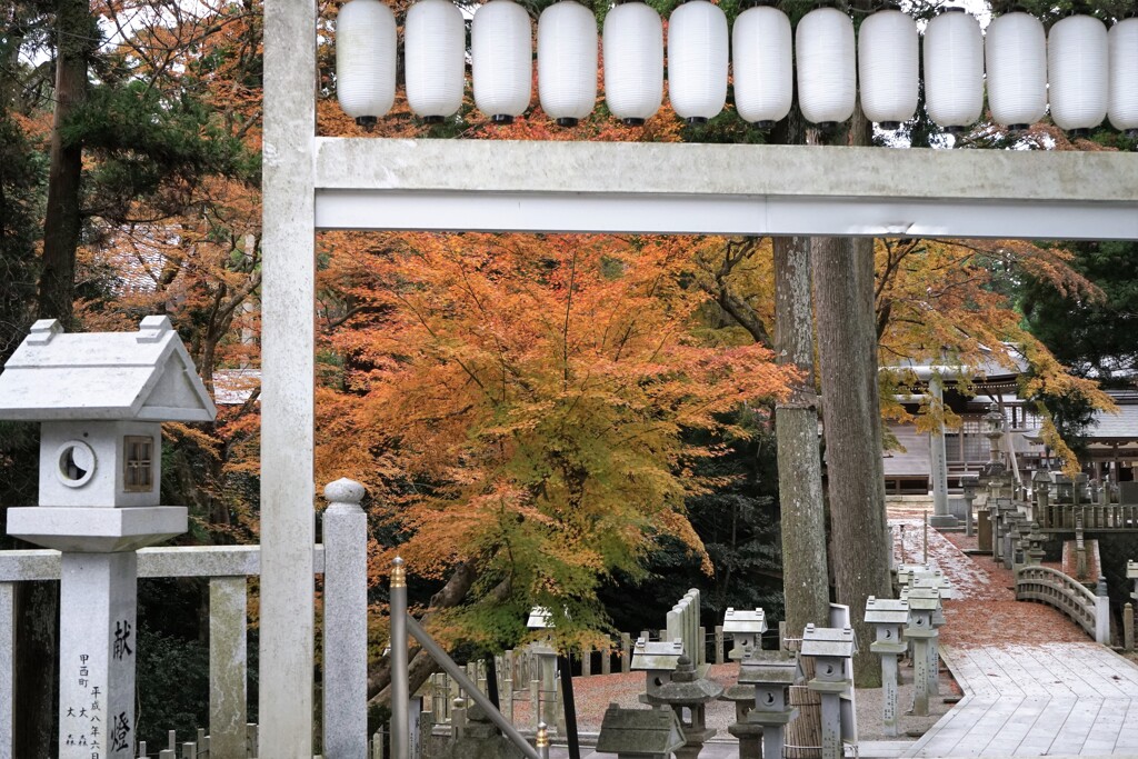 神社の紅葉