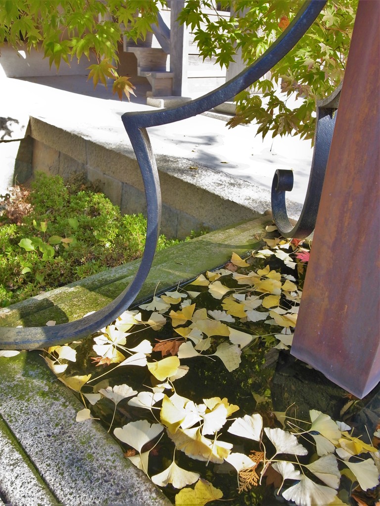 紅葉・東光寺