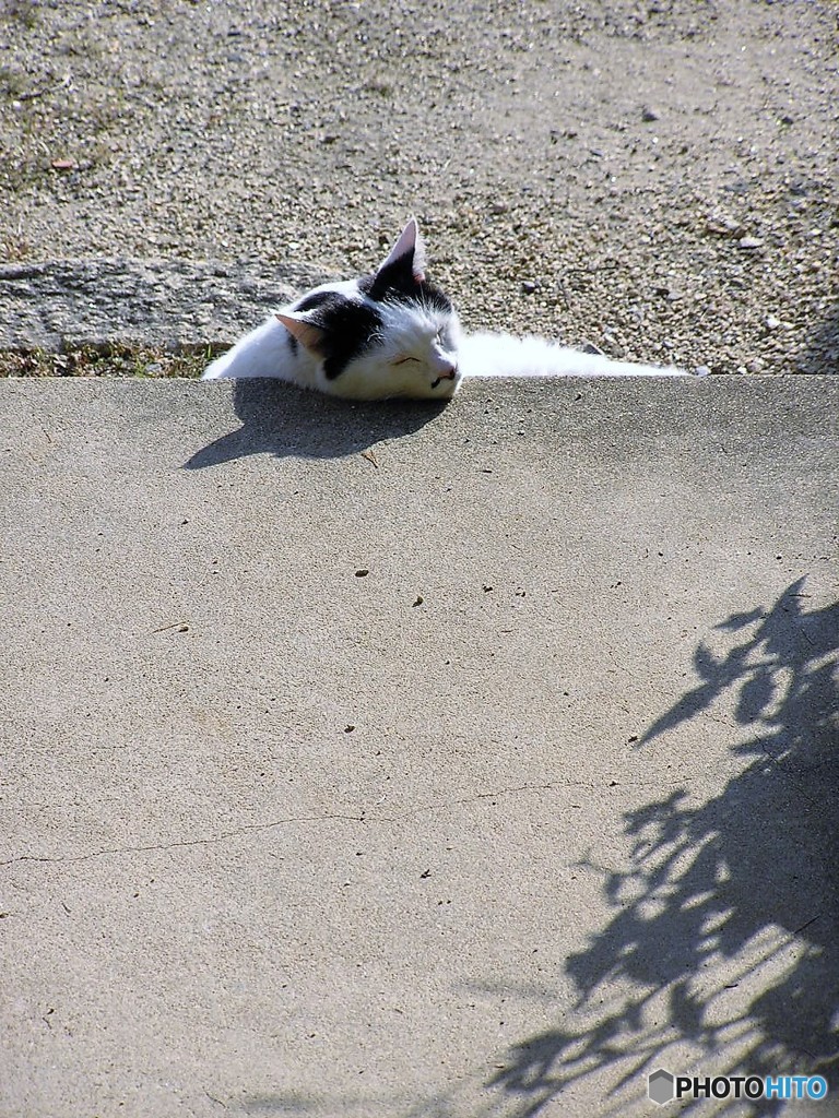 日向にて