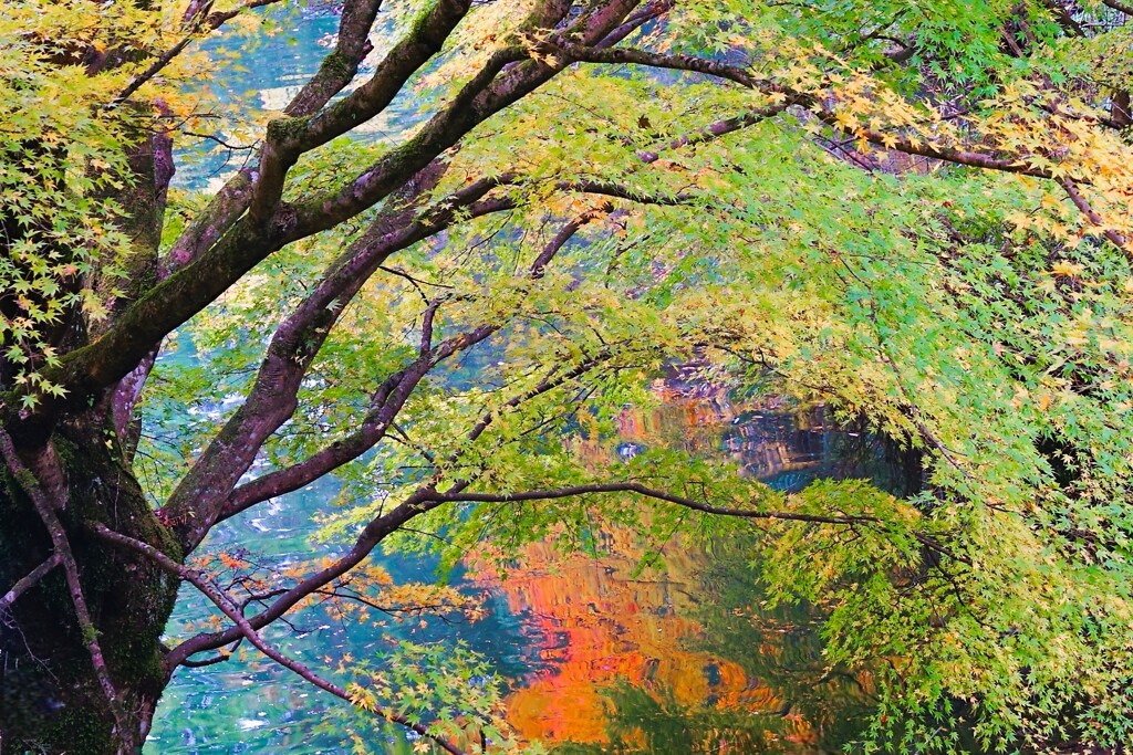 ゴッホ調紅葉