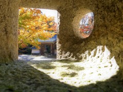 紅葉・東光寺