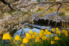 賑やかな水辺