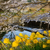 賑やかな水辺