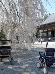 お参り