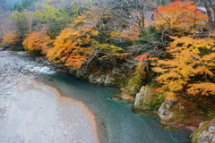 上流の秋