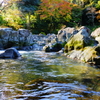 渓流を彩る