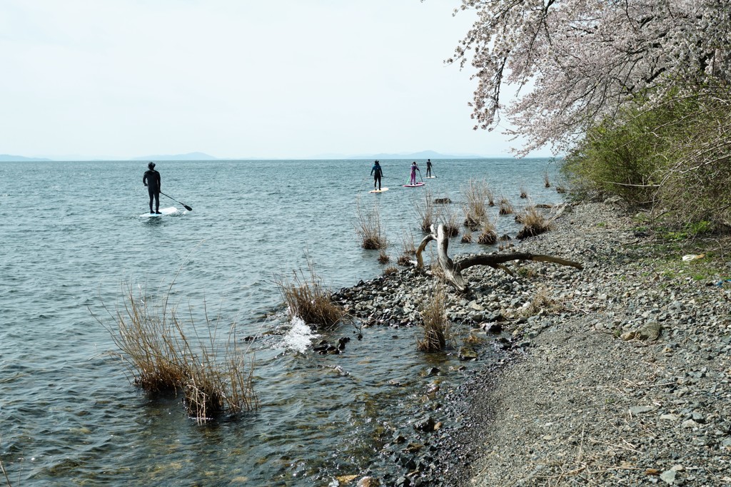 琵琶湖を渡る