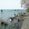 琵琶湖を渡る