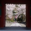 桜だ門