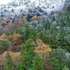 紅葉・永源寺