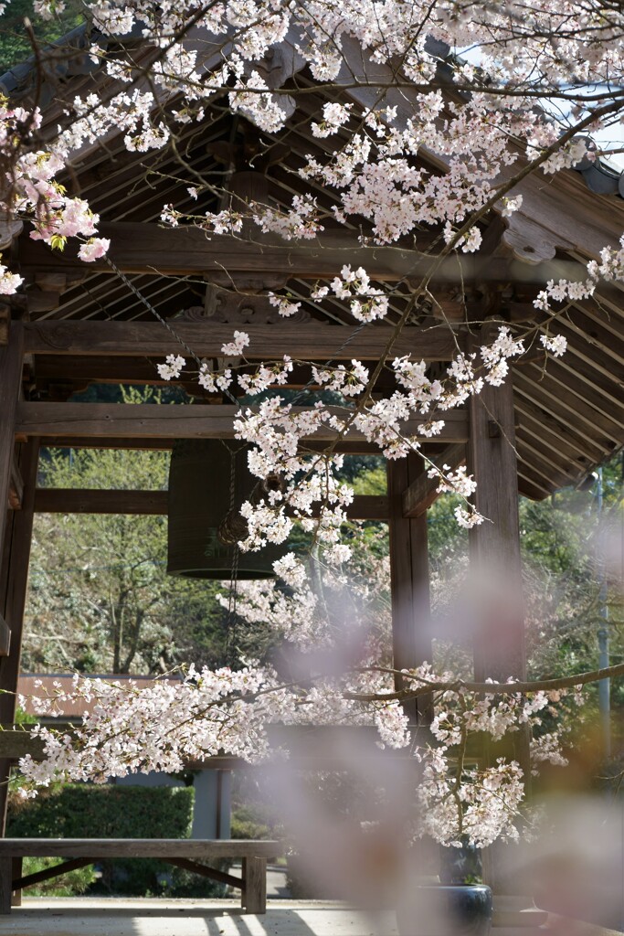 山のお寺の