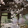 山のお寺の