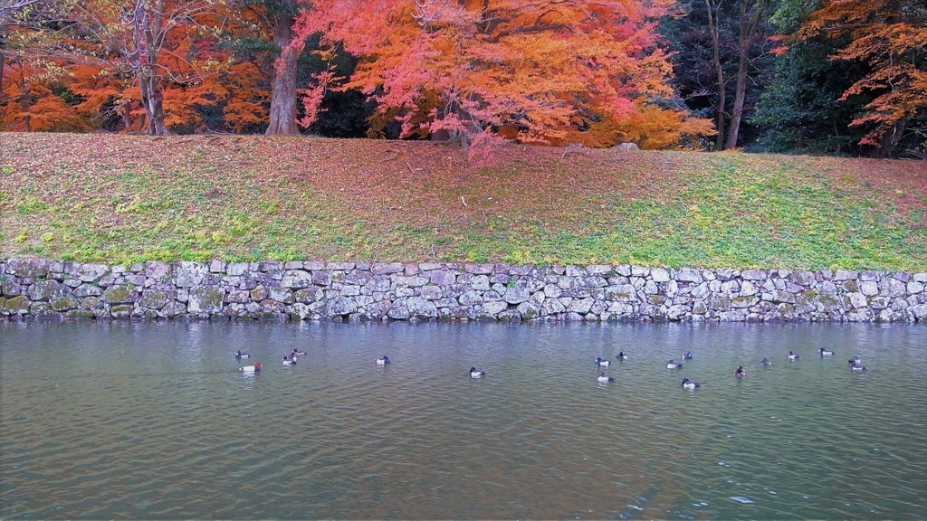 玄宮園