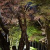 幽玄