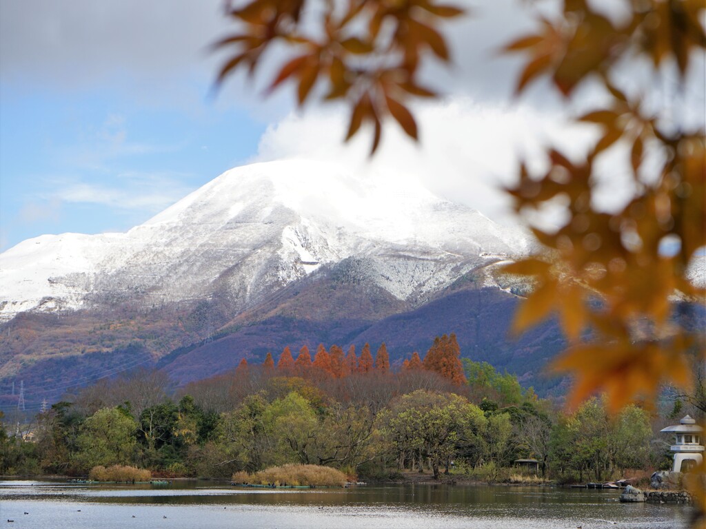 初冠雪
