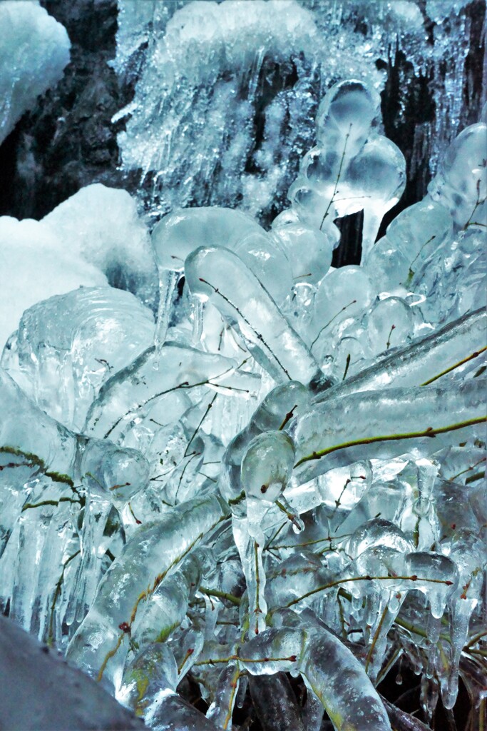 氷界