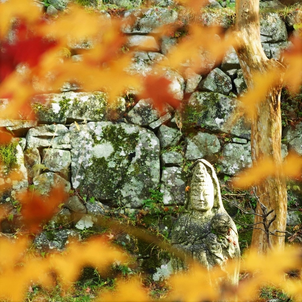 紅葉・東光寺