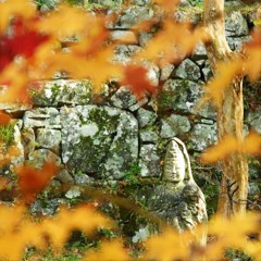 紅葉・東光寺