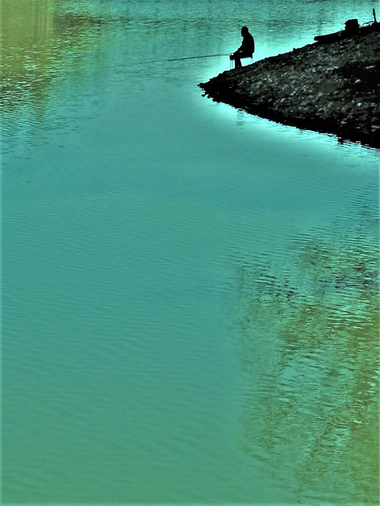 鮒釣り