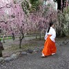 こちふかば