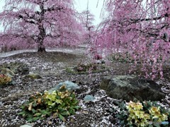 鈴鹿の森庭園