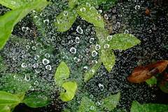 気体から液体へ