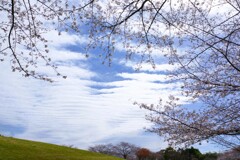 雲の波