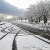 不意の雪