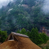 桜山