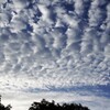 鯖雲