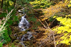 小さい秋の小さい滝