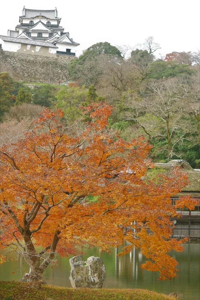 玄宮園