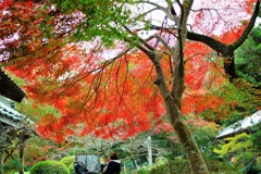 長徳寺