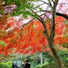 長徳寺