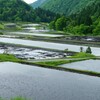 田植え近し
