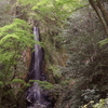白滝
