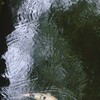 雨中遊泳
