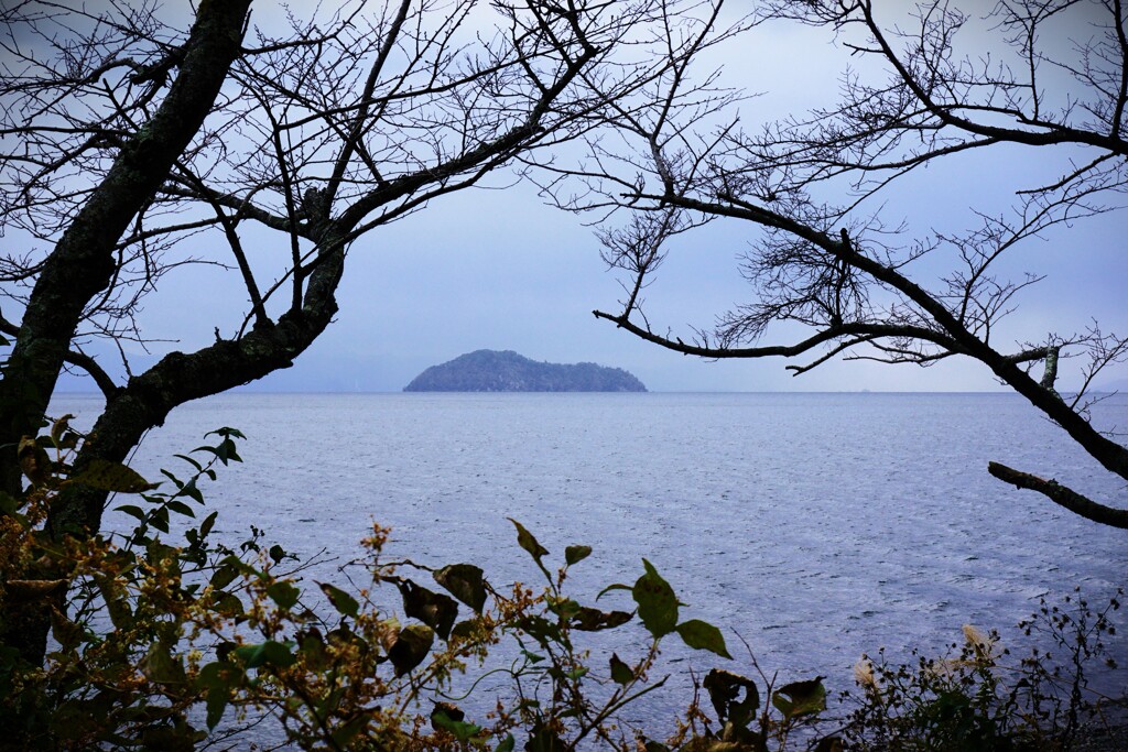 冬琵琶湖